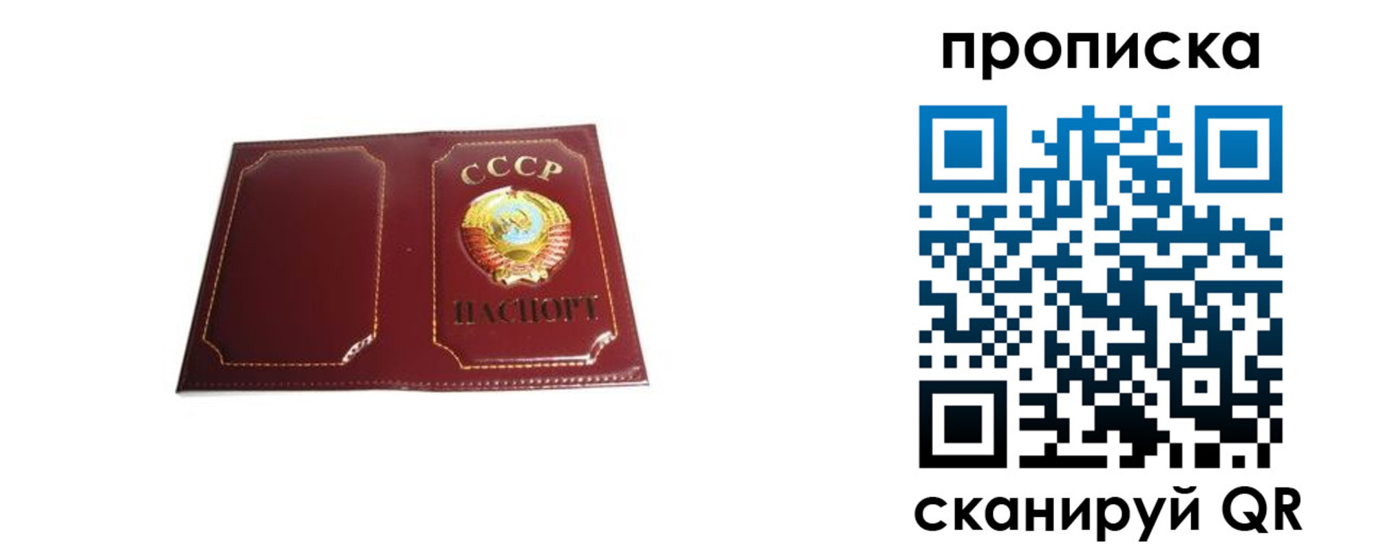 прописка гарантия в Петушках